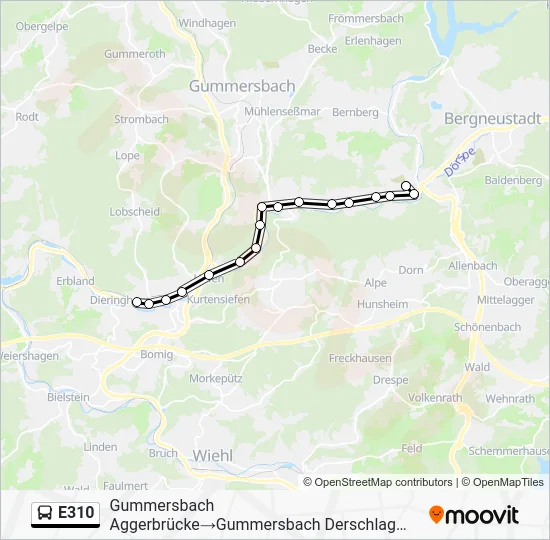 Автобус E310: карта маршрута