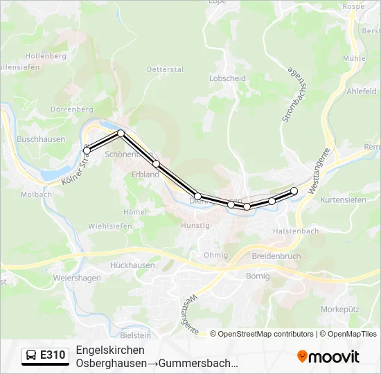 Автобус E310: карта маршрута