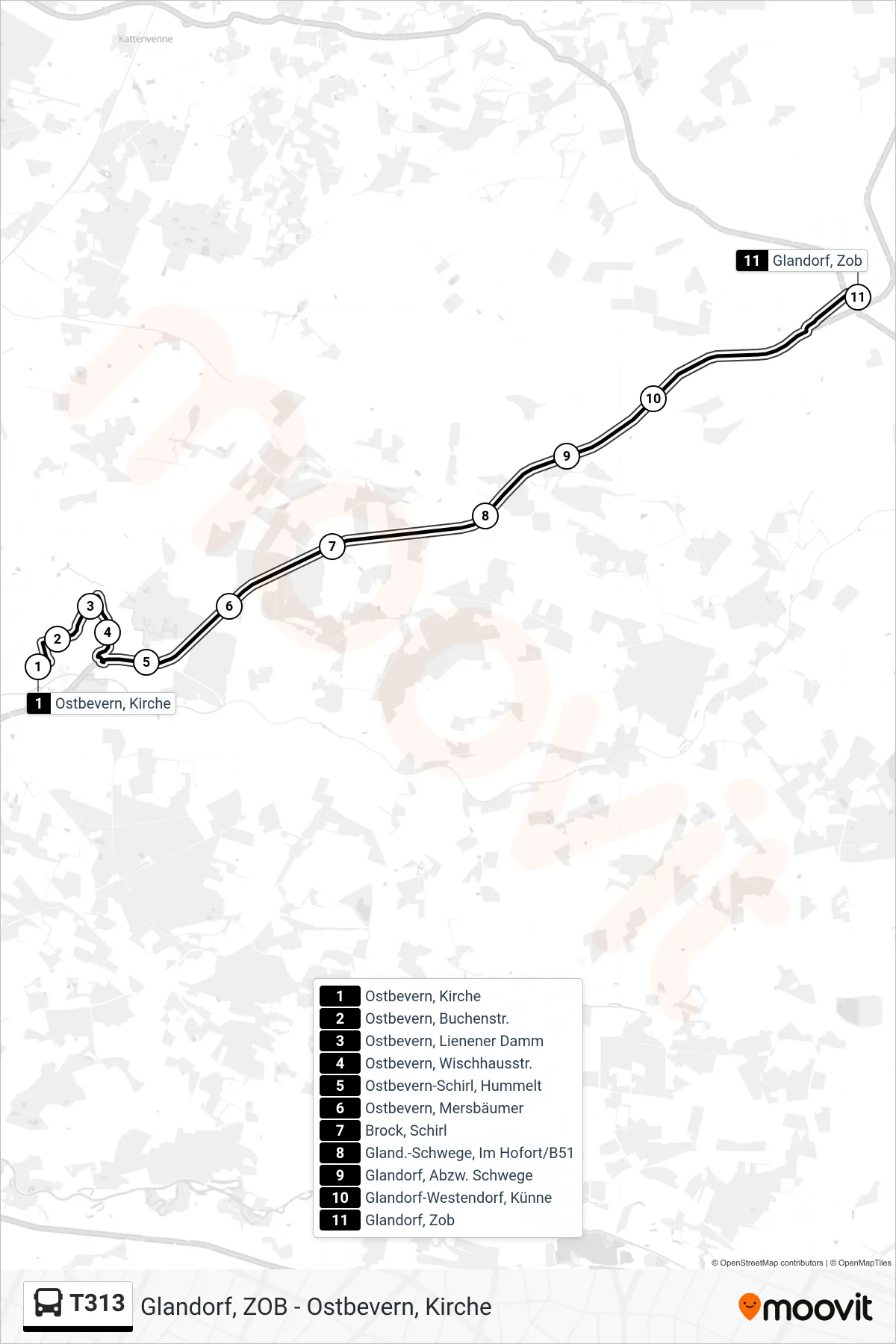 Linie T313 (Tram) Richtung Glandorf, Zob: Route und Haltestellen auf der Karte