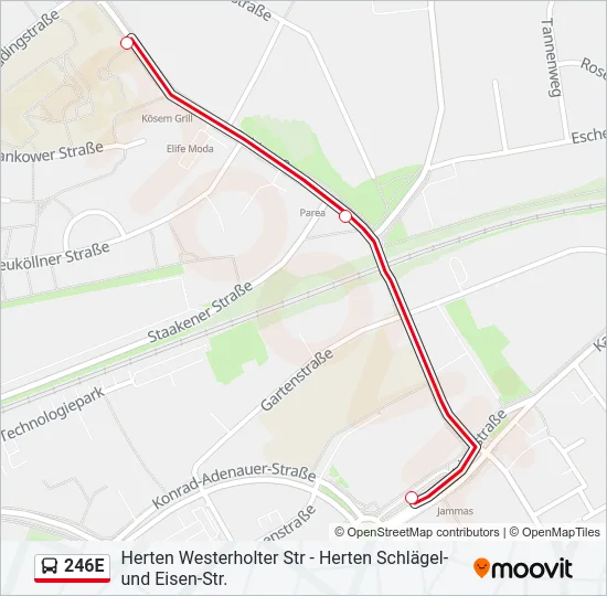 246E Bus Line Map