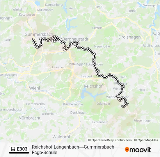 E303 Bus Line Map