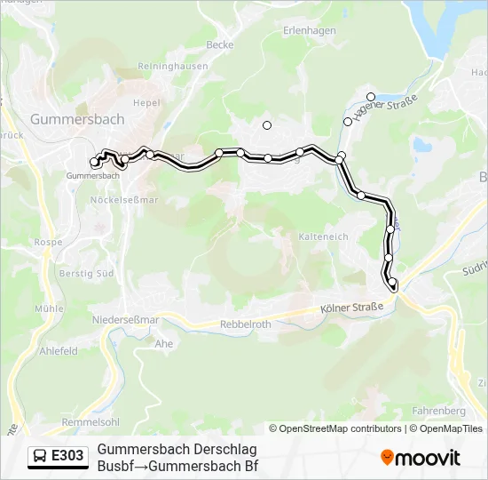 E303 Bus Line Map