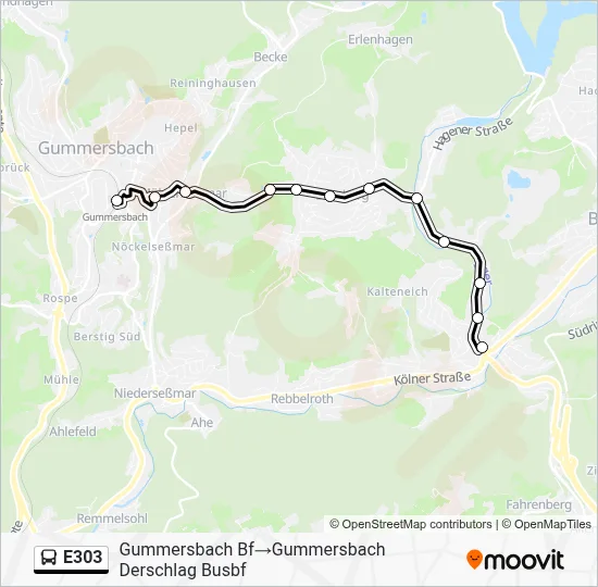 E303 Bus Line Map