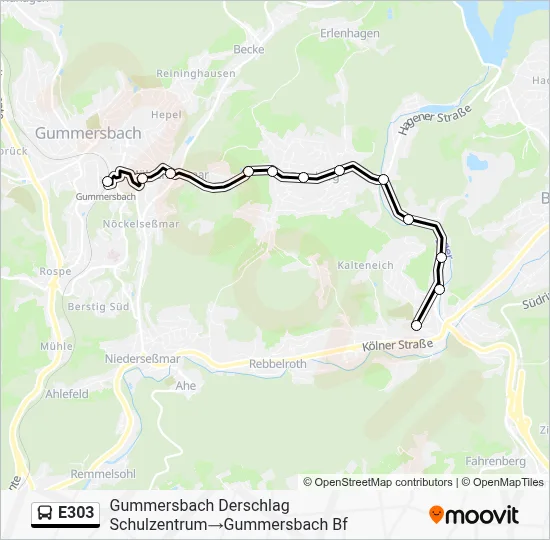 E303 Bus Line Map