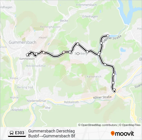 E303 Bus Line Map