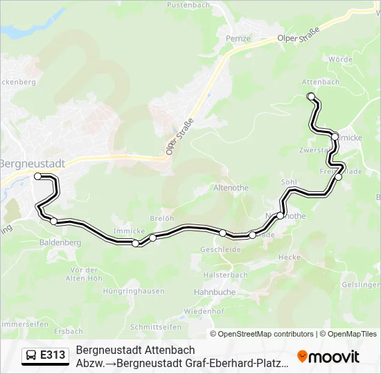 E313 Bus Line Map