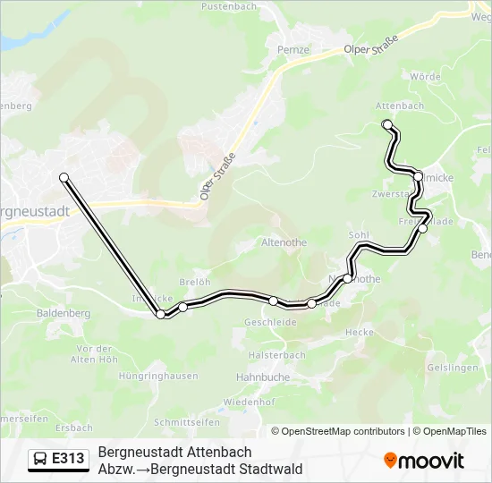 E313 Bus Line Map