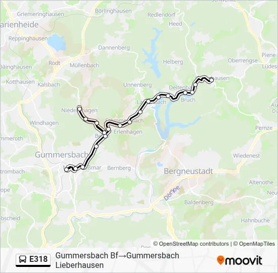 E318 Bus Line Map
