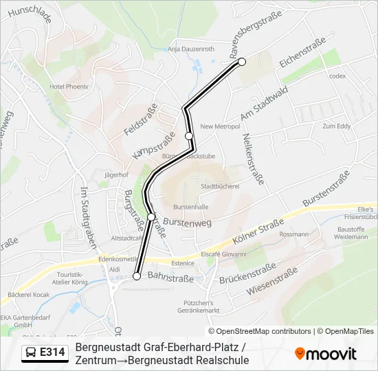 E314 Bus Line Map