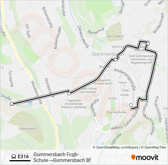 E316 Bus Line Map