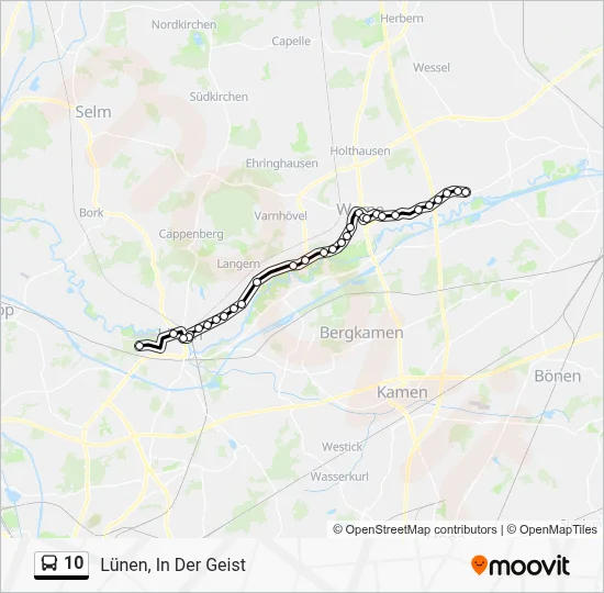 10 Bus Line Map