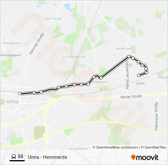 55 Bus Line Map