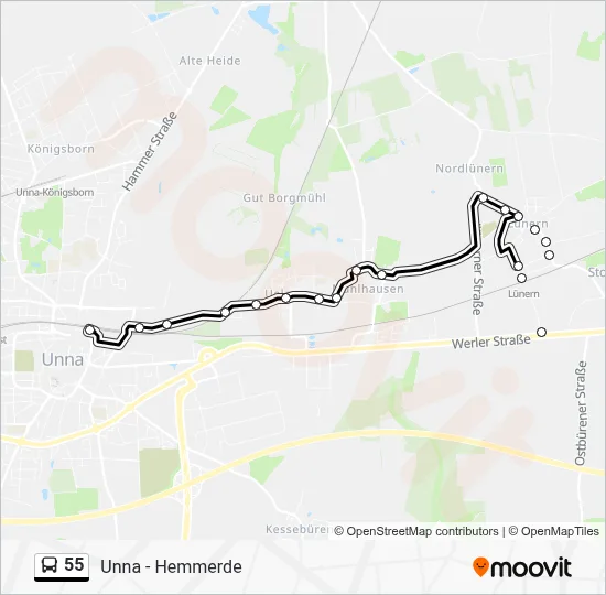 55 Bus Line Map