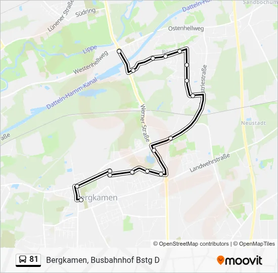 81 Bus Line Map