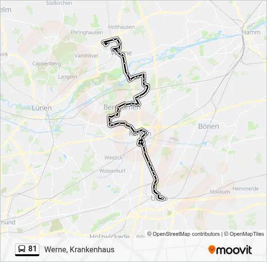 81 Bus Line Map