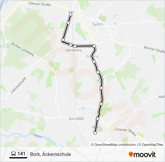 141 Bus Line Map