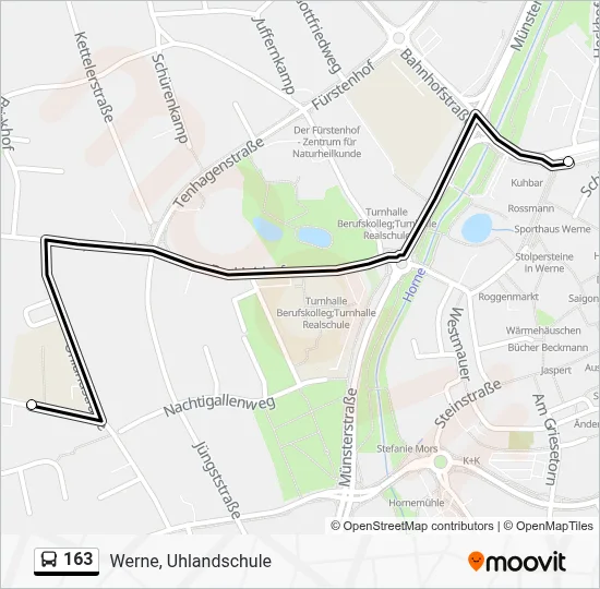 163 Bus Line Map