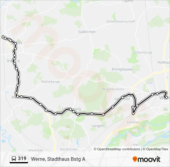 319 Bus Line Map