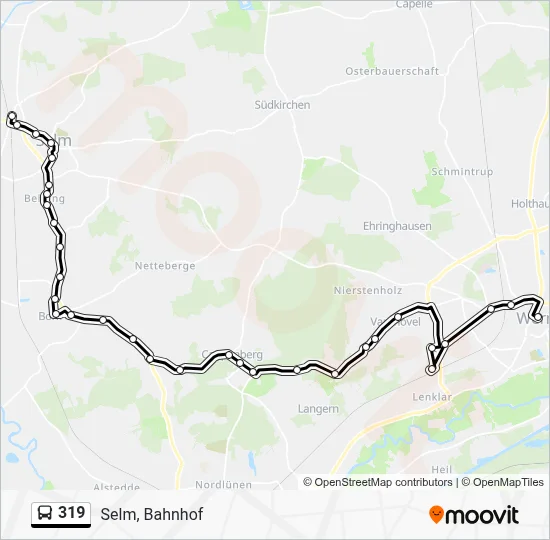 319 Bus Line Map