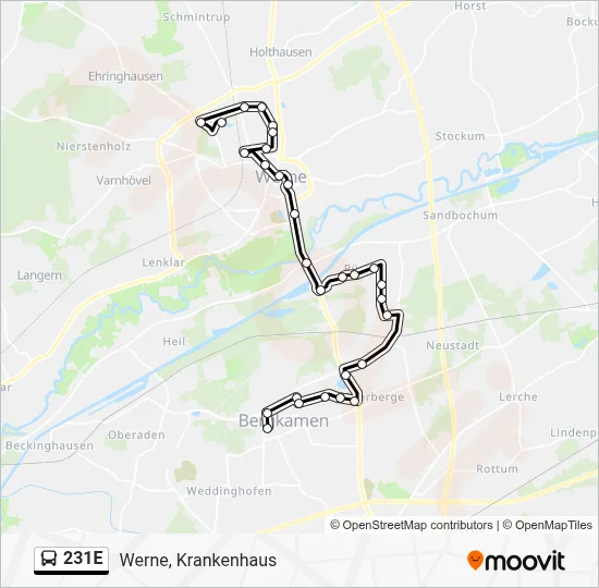 231E Bus Line Map