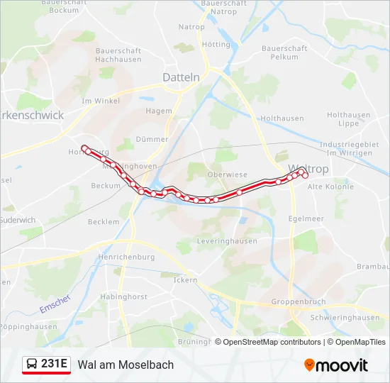 231E Bus Line Map
