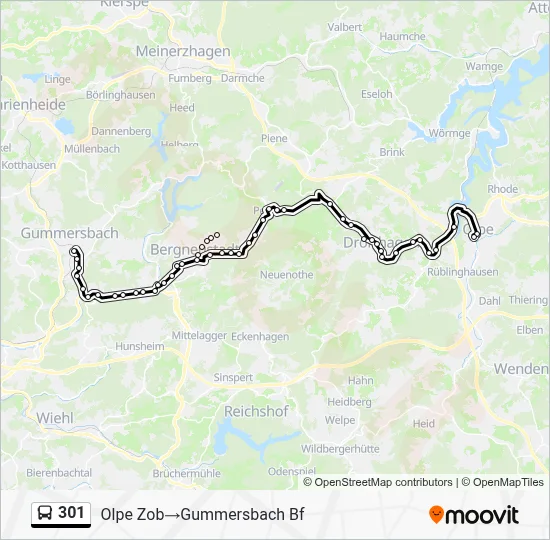 301 Bus Line Map