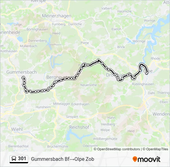 301 Bus Line Map