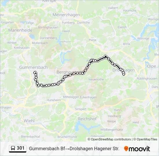 301 Bus Line Map