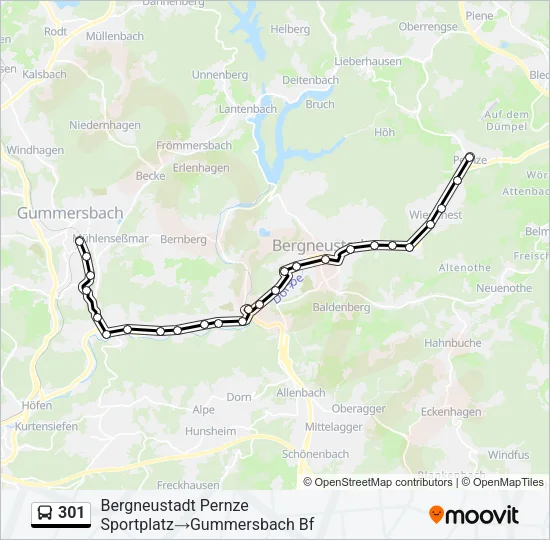 301 Bus Line Map
