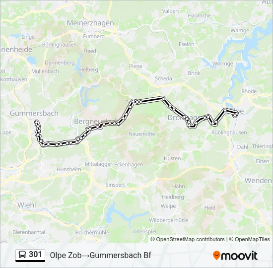 301 Bus Line Map