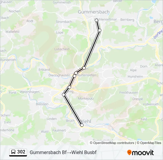 302 Bus Line Map