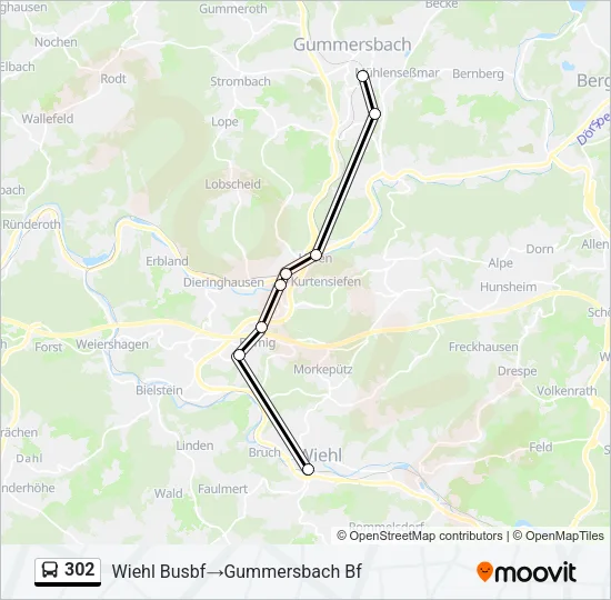 302 Bus Line Map