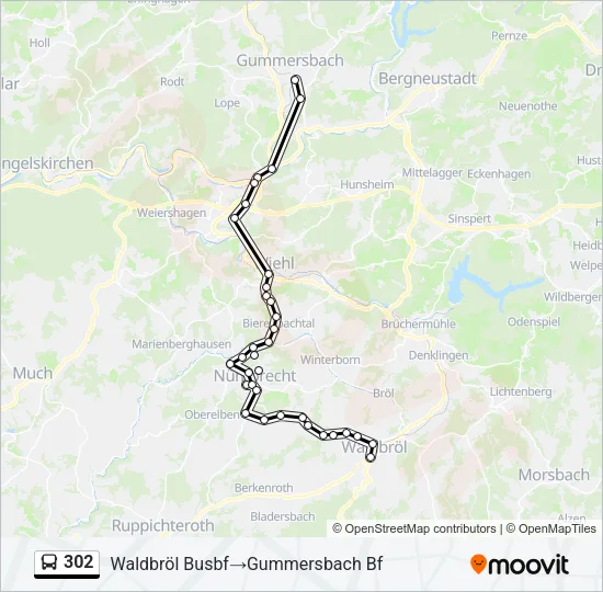 302 Bus Line Map