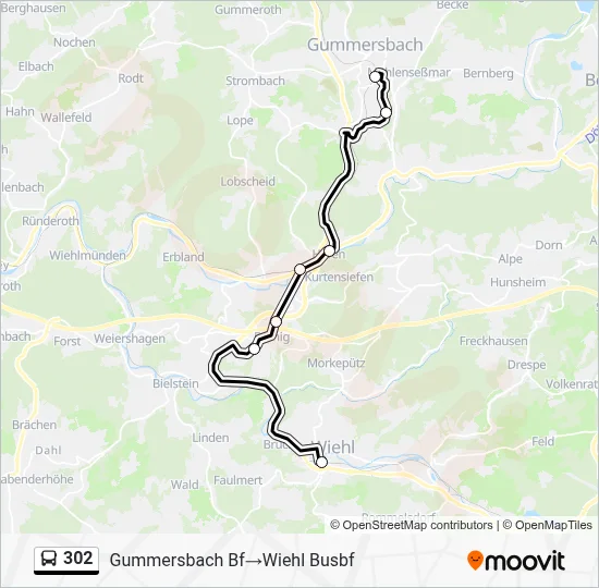 302 Bus Line Map