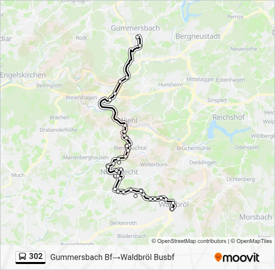302 Bus Line Map