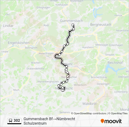 302 Bus Line Map