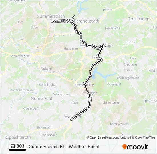 303 Bus Line Map