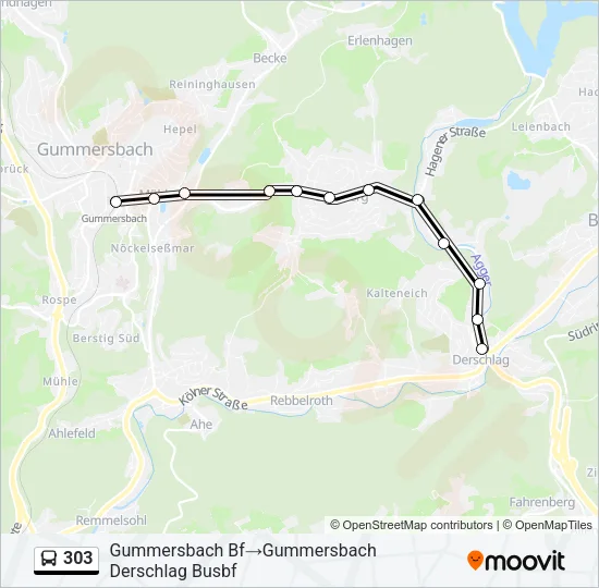 303 Bus Line Map