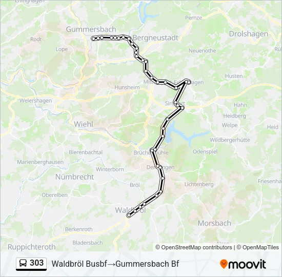 303 Bus Line Map
