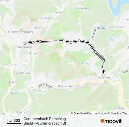 303 Bus Line Map