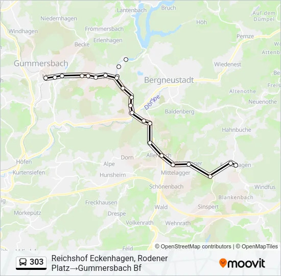 303 Bus Line Map