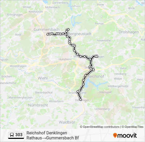 303 Bus Line Map