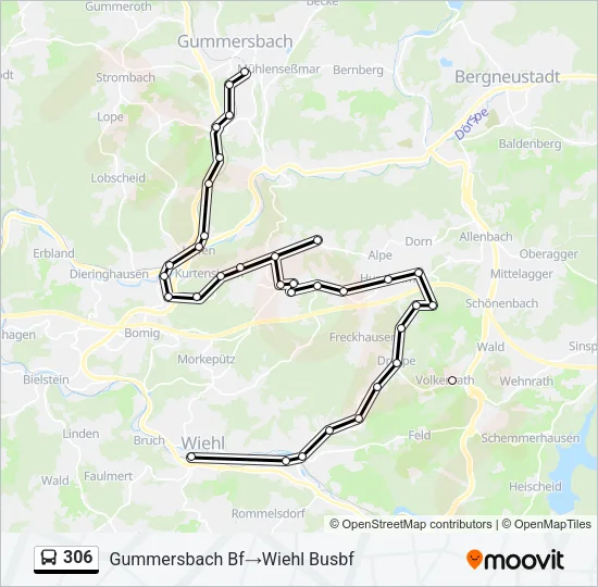 306 Bus Line Map