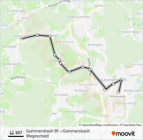 Автобус 307: карта маршрута