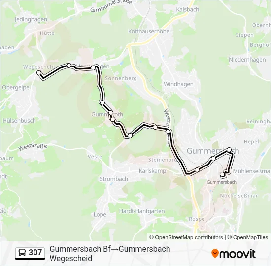 307 Bus Line Map