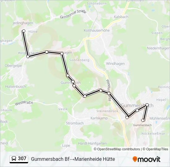 307 Bus Line Map