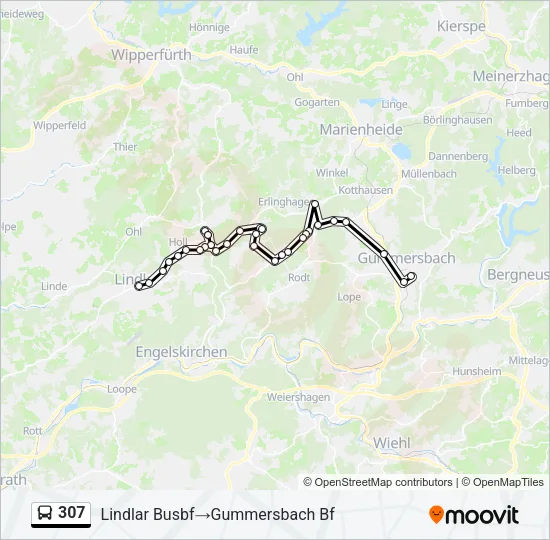307 Bus Line Map