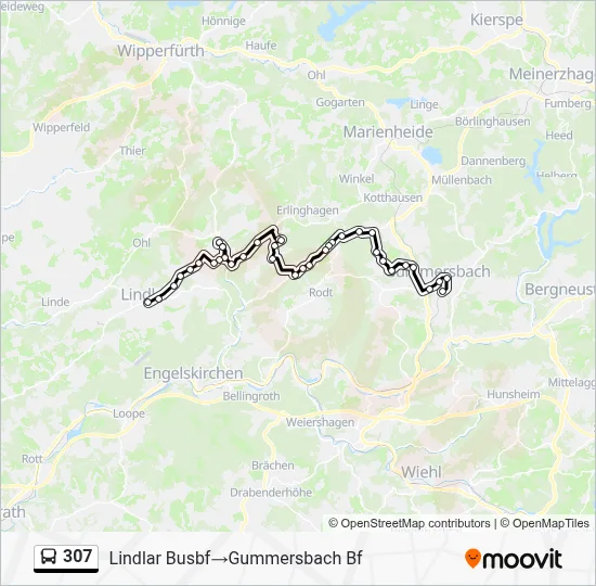 307 Bus Line Map
