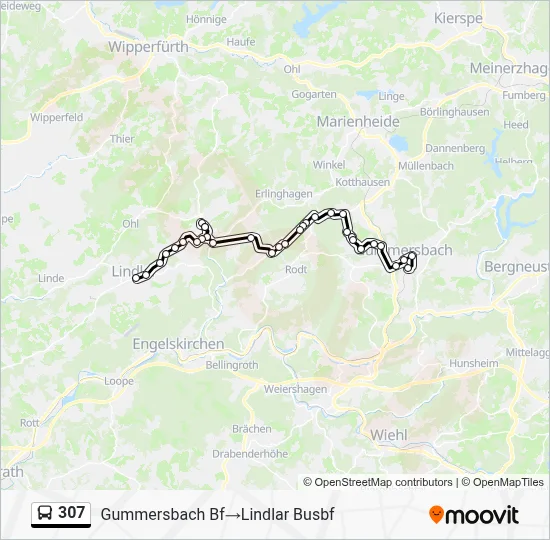 307 Bus Line Map