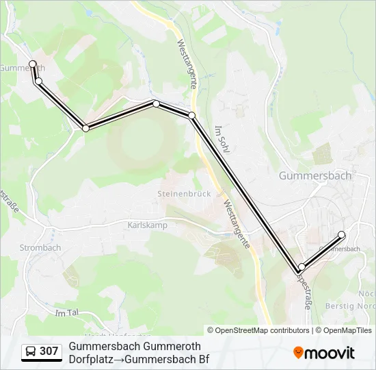307 Bus Line Map